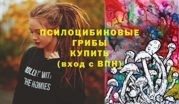 мдпв Переславль-Залесский